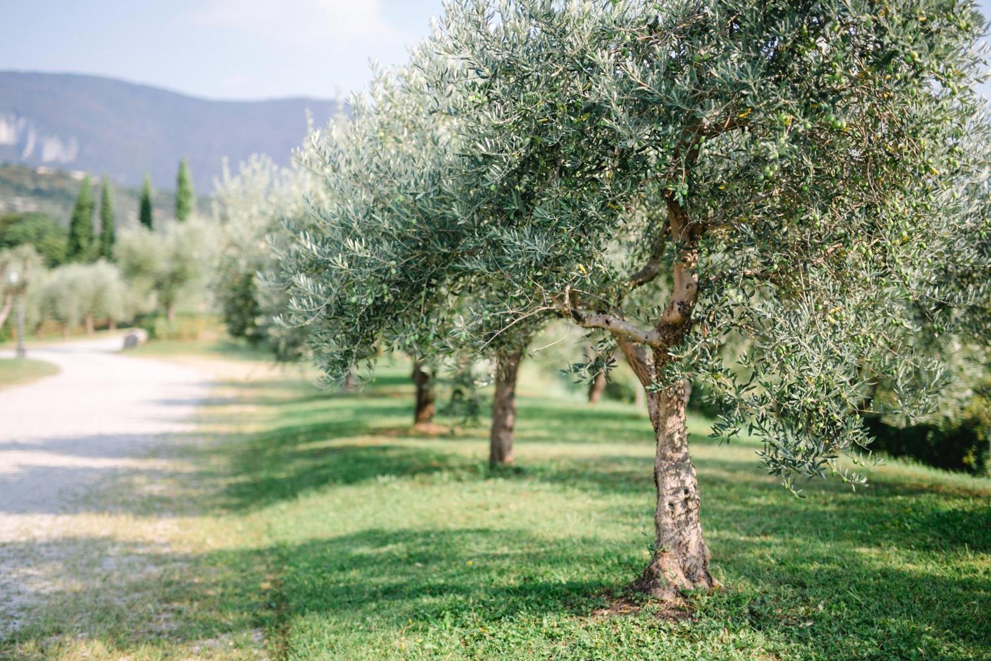 Tenuta La Presa Caprino Veronese Extérieur photo